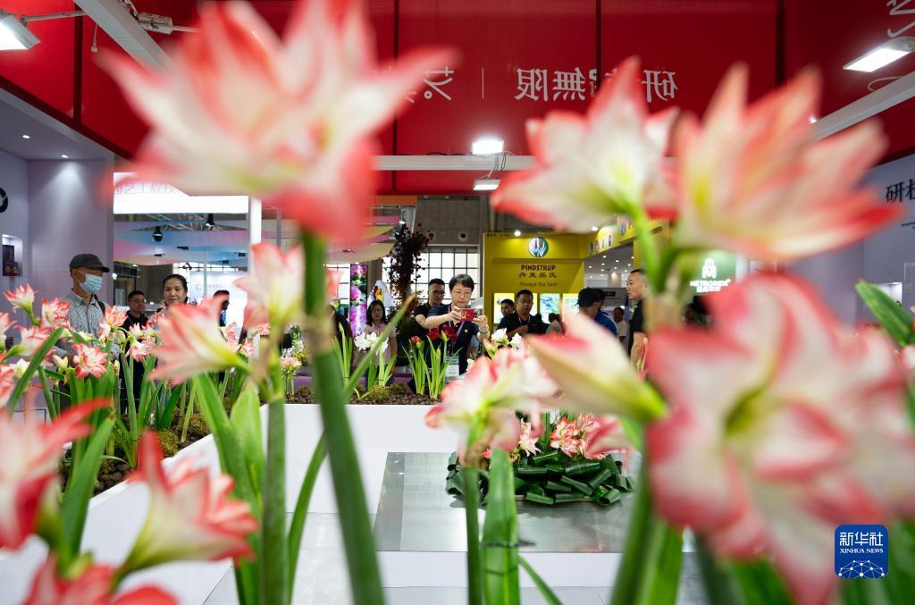 棋牌游戏网页版源码